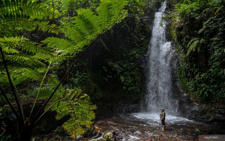 KLHK: Hari Air Terjun Internasional Momentum Jaga Sir Terjun Lestari