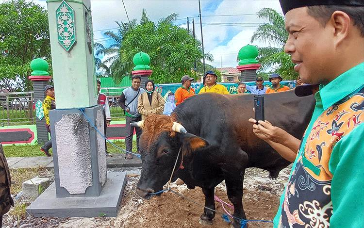DPKP Kotim Turunkam Tim Lakukan Pemeriksaan Postmortem Hewan Kurban yang Disembelih