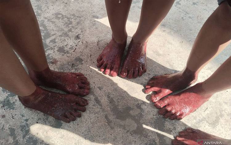 Warga Palembang Lakukan Tradisi Celup Kaki ke Darah Hewan Kurban