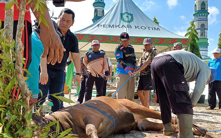 Bupati Kotim Ajak Masyarakat yang Mampu Laksanakan Ibadah Kurban