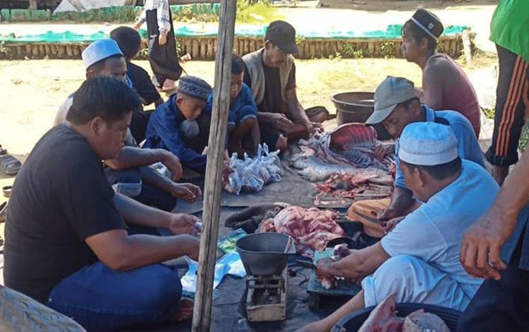 Sapi Kurban dari H Abdul Rasyid AS untuk Desa Terusan Raya Disembelih, Dagingnya Dibagikan ke Masyarakat