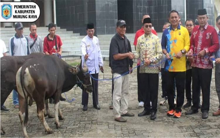 Pemkab Murung Salurkan Hewan Kurban ke Masjid dan Musala
