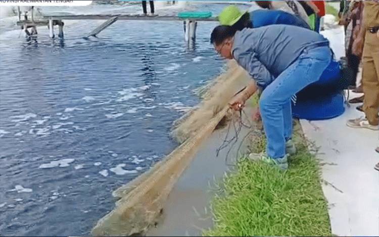 Dislutkan Kalteng Klaim Hasil Panen Shrimp Estate Lampaui Target