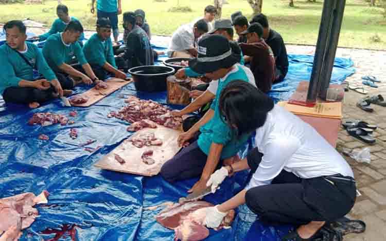 Pemeriksaan Hewan Kurban, Ini yang Ditemukan Petugas Distan Kapuas