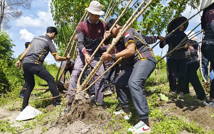 Panen Singkong di Lapas Sukamara