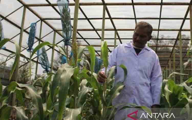 Kementan Ingin Petani Optimalkan Nilai Tambah dari Hilirisasi