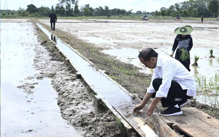 Presiden Jokowi Minta Tambahan Pompa Atasi Kekeringan Lahan Tani Juli-Oktober