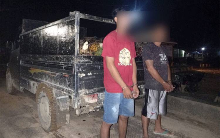 Curi Sawit, Dua Pria di Kotim Diborgol Polisi