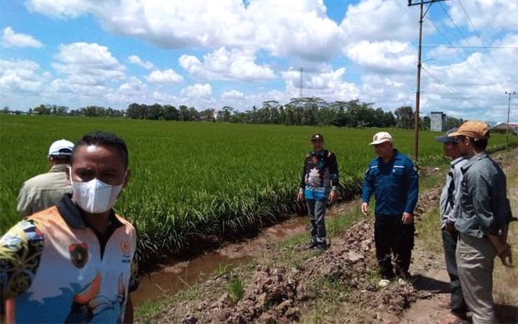 Nilai Tukar Petani Naik 0,97 Persen pada Juni 2024