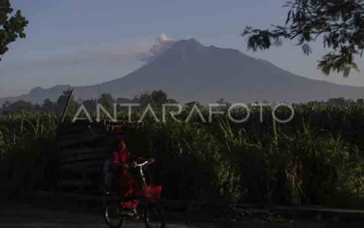 Gunung Merapi Luncurkan 132 Kali Guguran Lava Dalam Sepekan