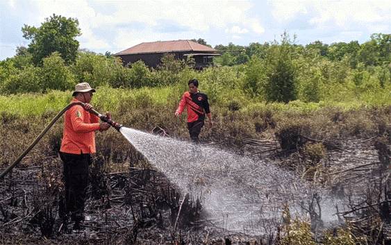 Lahan Jalan Soekarno Palangka Raya Terbakar