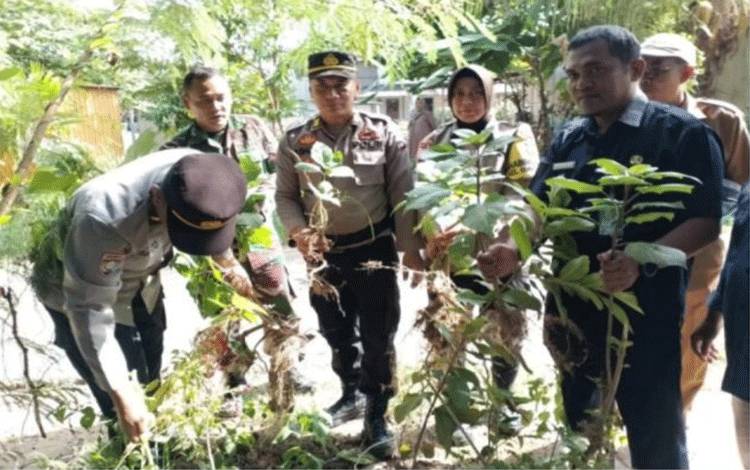 Polres Banjarbaru Berangus Tanaman Kecubung
