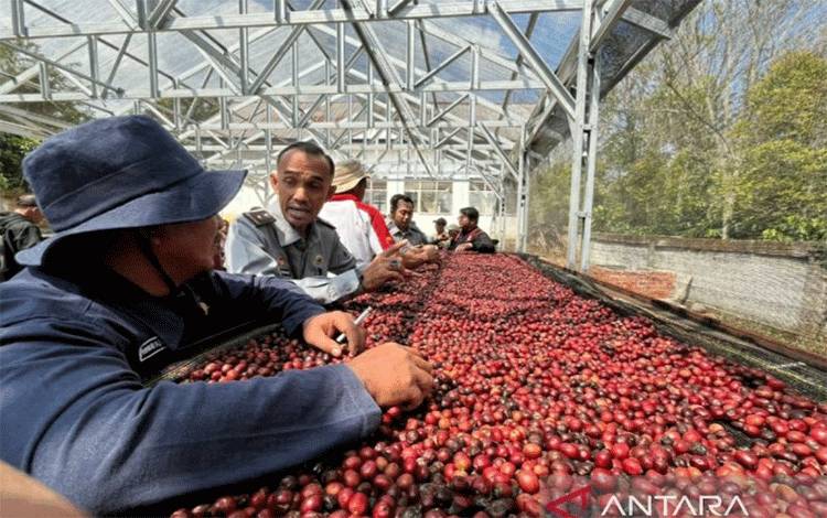 54 Indikasi Geografis Jenis Kopi Telah Derdaftar di DJKI Kemenkumham