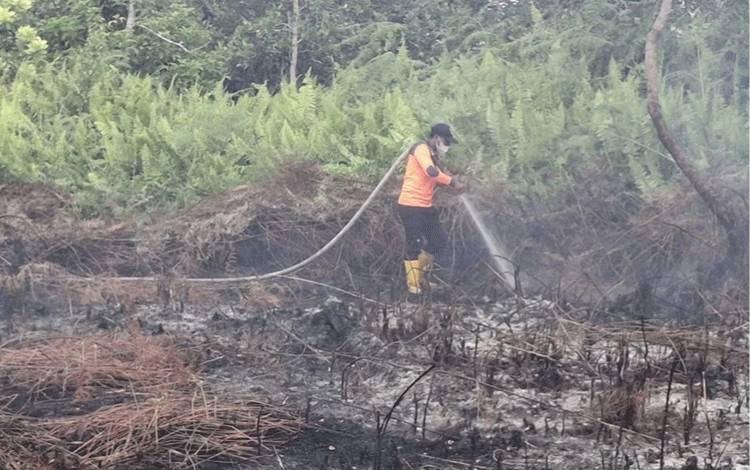 BPBD Palangka Raya Catat 16 Kasus Kebakaran Hutan dan Lahan pada Tahun 2024