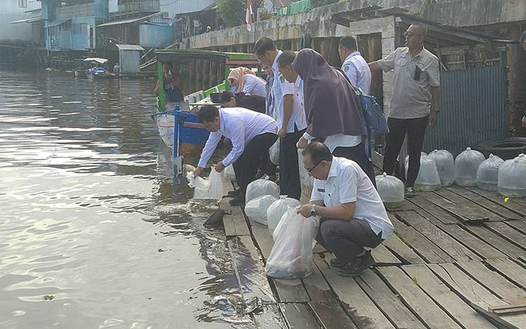 Dinas Perikanan Sukamara Lakukan Restocking Ikan Lokal di Sungai Jelai