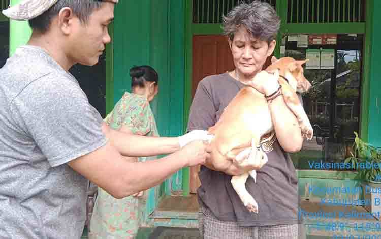 Dinas Peternakan Barito Timur Suntikan 6.000 Dosis Vaksin Rabies