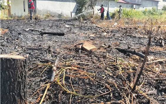 Kebakaran Lahan Dekati Permukiman Warga Sampit