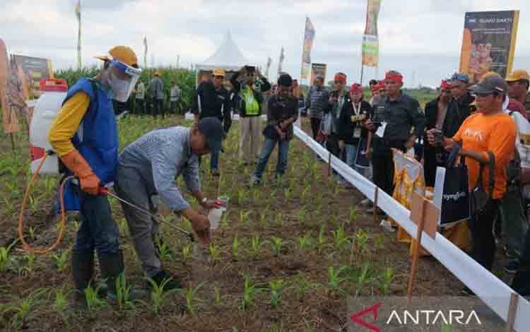 Kementan Minta Inovasi Pertanian Disebarkan hingga Indonesia Timur