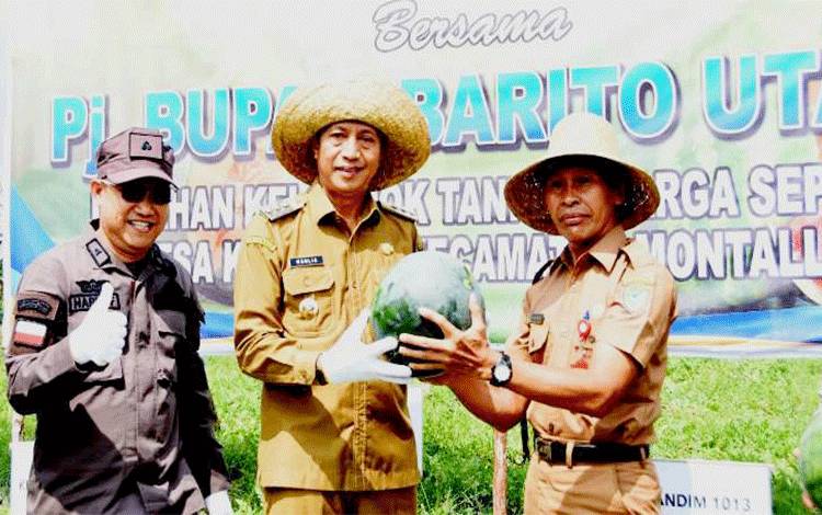 Panen Bersama Merupakan Dukungan dan Upaya Peningkatan Produksi