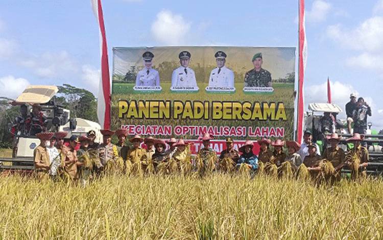 Nunu Andriani Panen Padi Bersama Petani Desa Tahai Jaya