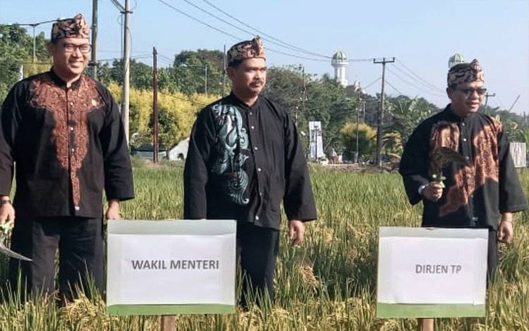 TPHP Kalteng Ikuti Event Gebyar Perbenihan Nasional