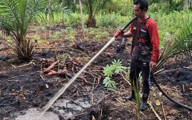 29 Kali Karhutla Hanguskan 10,42 Hektar Lahan di Palangka Raya