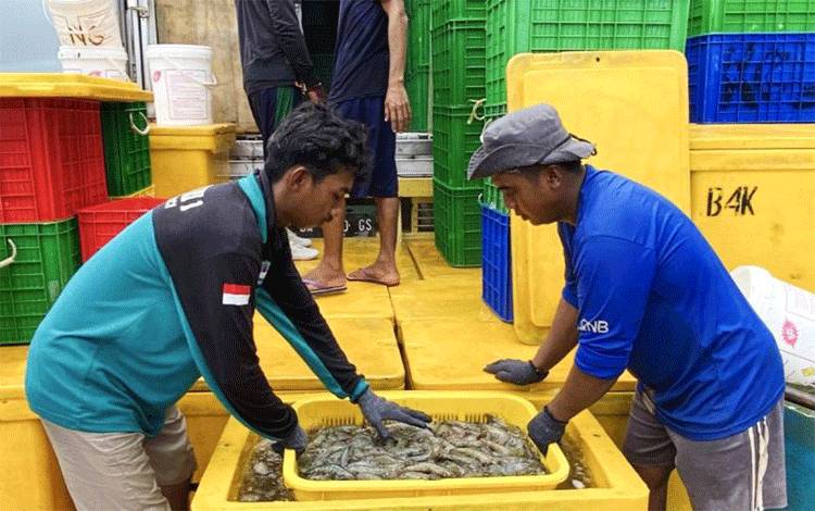 Kalteng Dukung Tatakelola Industri Udang Nasional dengan Shrimp Estate