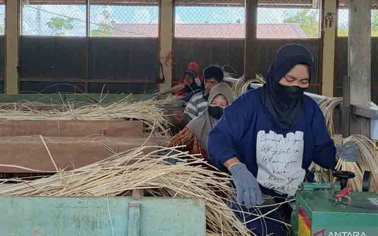 Ekonom: Sinergi Lindungi Industri Kunci Tingkatkan PMI Manufaktur