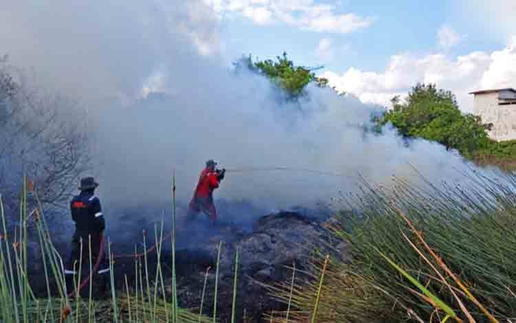 Personel Gabungan Tangani 47.725 Hektar Lahan Terbakar Selama Juli 2024 di Kobar
