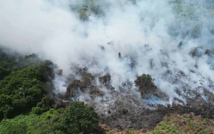 12 Hektare Lahan Terbakar di Kotim, Titik Panas Meningkat Mulai Juli 2024