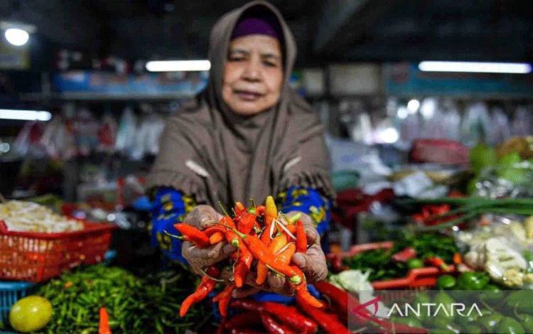 Harga Pangan: Cabai Rawit Rp69.270 Per Kg Beras Rp13.570 Per Kg