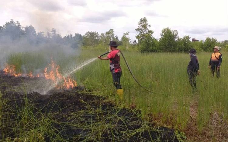 Palangka Raya Alami 72 Kejadian Kebakaran Hutan dan Lahan Hingga Agustus 2024
