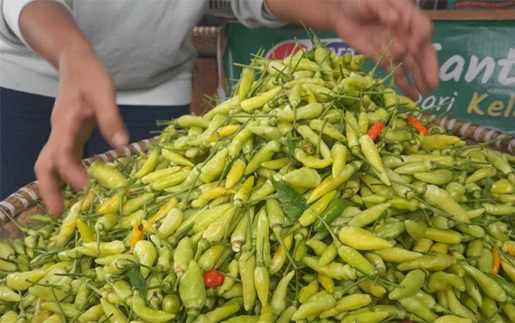Harga Komoditas di Kobar per 2 September Stabil