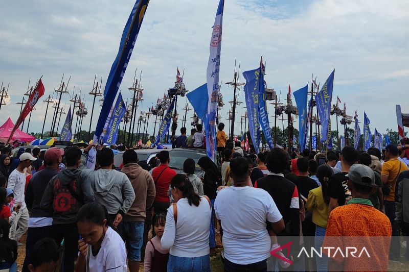 Ribuan warga Kota Palembang, Sumatera Selatan membludak menyaksikan panjat 79 pohon pinang perayaan Hari Ulang Tahun Kemerdekaan Republik Indonesia yang ke-79 tahun.  (ANTARA/ M Imam Pramana)