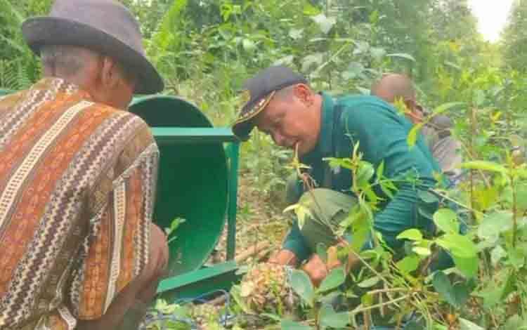 BKSDA Sampit Terus Pantau 2 Perangkap untuk Tangkap 5 Beruang Meresahkan Warga