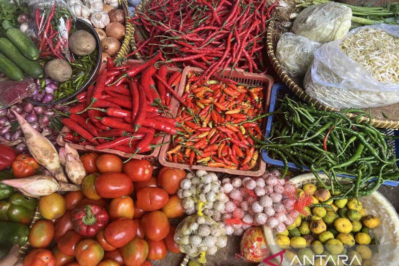Bawang Merah, Ayam Ras, Tarif Listrik Penyebab Deflasi di Palangka Raya