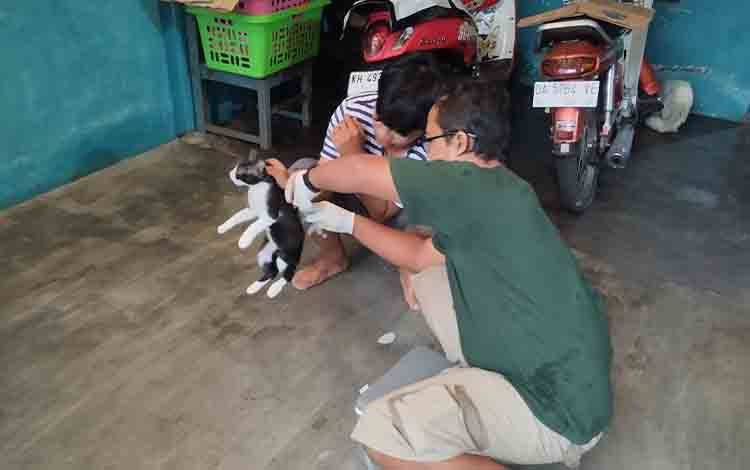 Pencegahan Rabies Diketatkan Pada Musim Kawin Hewan Penular Rabies