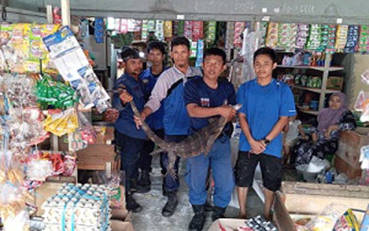 Tim Animal Rescue Damkar Seruyan Evakuasi Biawak di Rumah Warga Kuala Pembuang