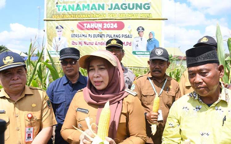 Pj Bupati Pulang Pisau Apresiasi Desa Sebangau Mulya Panen Jagung