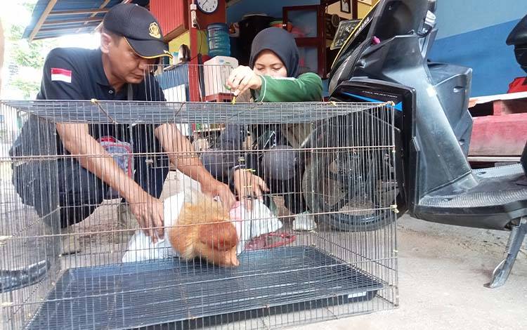 Karhutla Mengancam Habitat Hewan Langka di Kalimantan