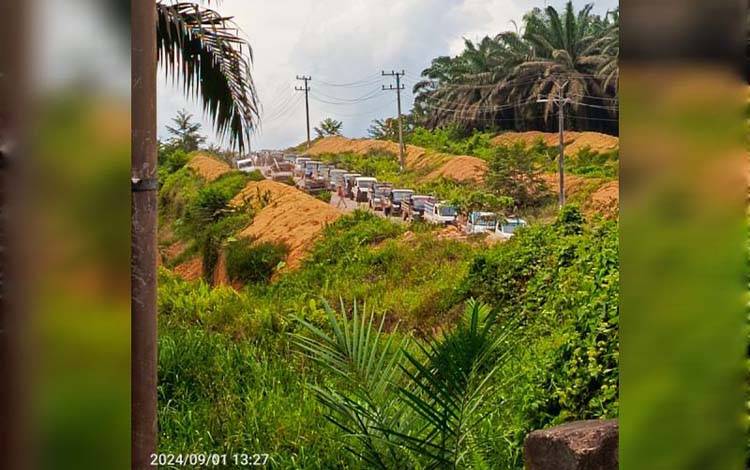 DPD RI-Gapki Minta Pemerintah Atasi Penjarahan Sawit yang Marak Sejak Lama