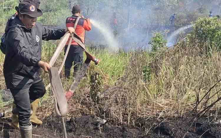 Palangka Raya Dilanda 101 Kejadian Karhutla Sepanjang Januari - September 2024