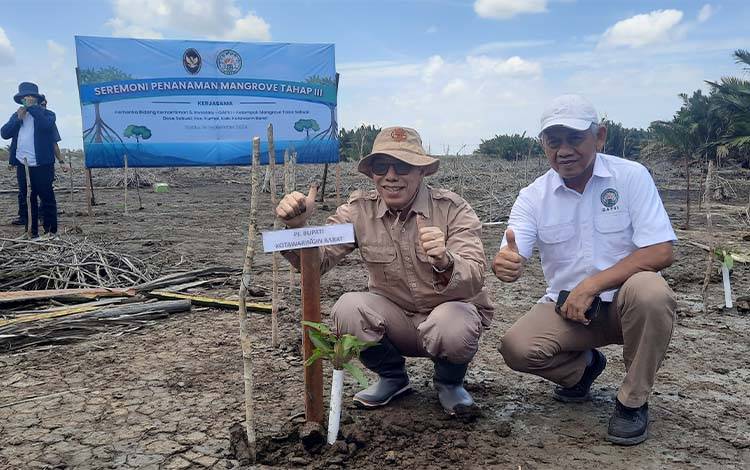 Peduli Lingkungan, Pemkab Kobar Apresiasi GAPKI Dalam Penanaman Mangrove di Desa Sabuai