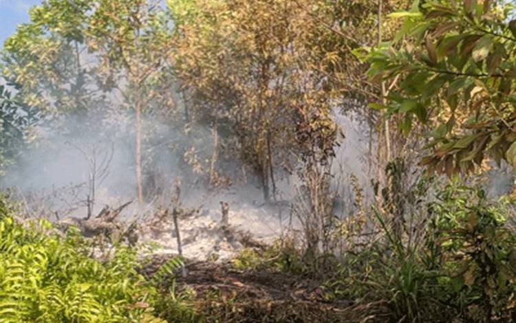 603 Titik Panas Terdeteksi di Kalteng, BPBPK Ingatkan Pentingnya Antisipasi Kebakaran Hutan