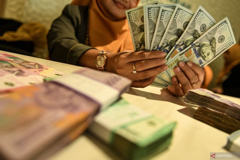 Petugas menunjukan uang pecahan dolar AS dan rupiah di Bank BSI, Jakarta, Selasa (3/9/2024). ANTARA FOTO/Muhammad Adimaja/Spt.