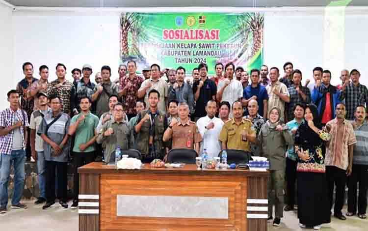 Pemkab Lamandau Sosialisasikan Peremajaan Kelapa Sawit