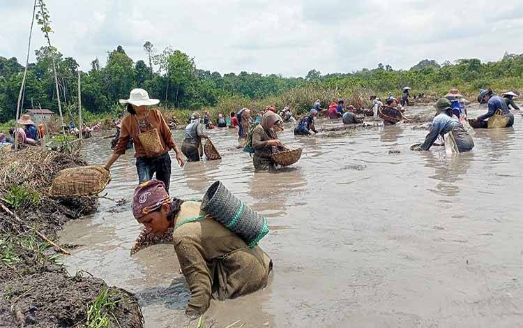 Festival Nikep: Menjaga Tradisi Tangkap Ikan Masyarakat Dayak Maanyan