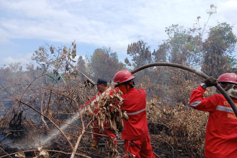 Manggala Agni sedang memadamkan kebakaran hutan dan lahan (karhutla) Desa Suka Dana, Kecamatan Sungai Rotan, Kabupaten Muara Enim, Sumsel. ANTARA/HO-BPPIKHL Sumatera