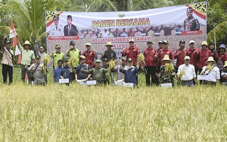 Kepala Dinas Pertanian Barito Timur Panen Perdana di Desa Kupang Bersih