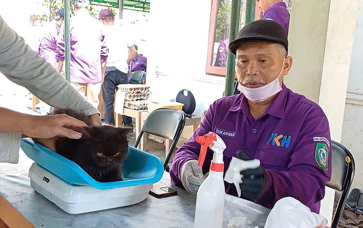 Waspada Rabies, ini Langkah DPKP Kotim Jika Terjadi Kasus Gigitan Hewan ke Manusia